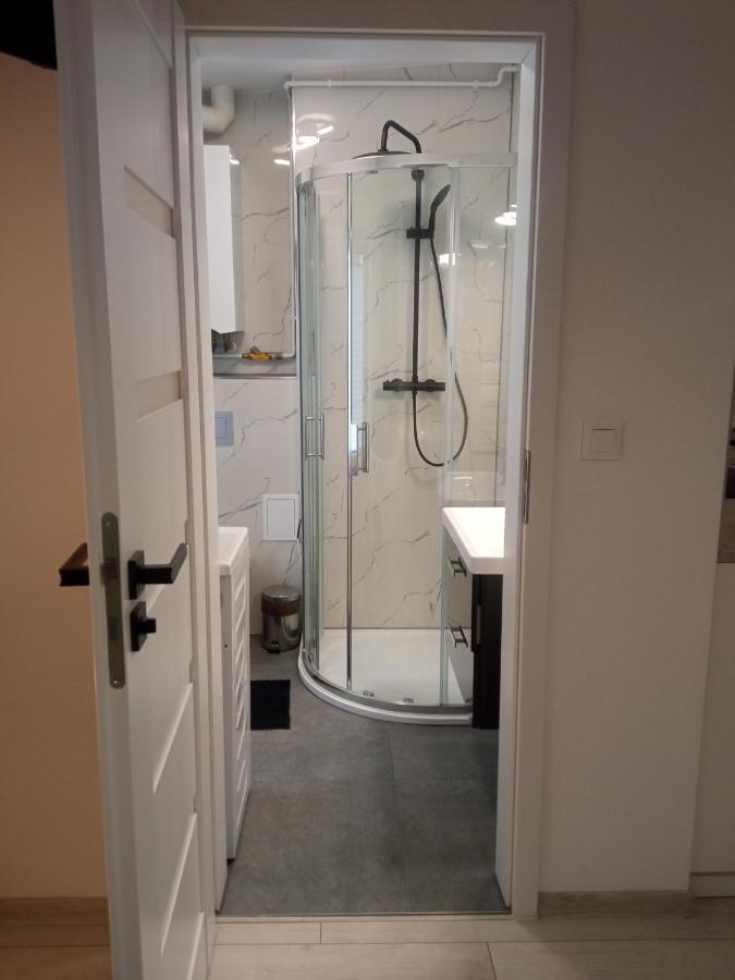 Apartament Wolnosci Jelenia Gora Ngoại thất bức ảnh